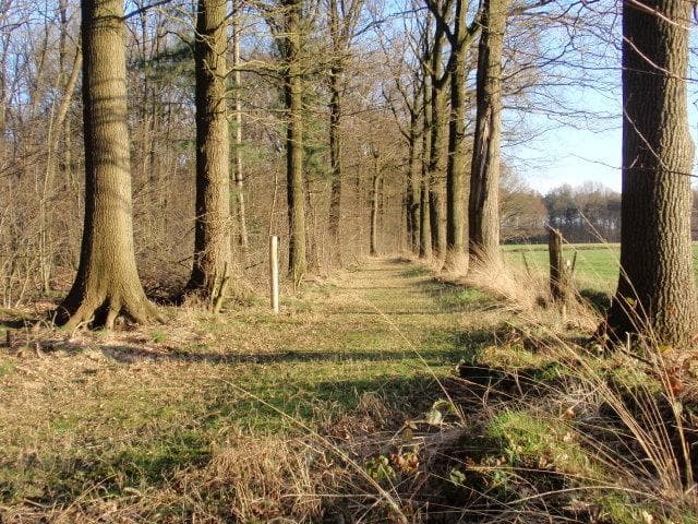 Vroedvrouw voor Sint-Katelijne-Waver